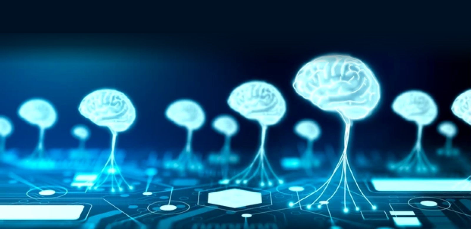 cognitive testing