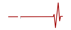Apollo Medical Transport